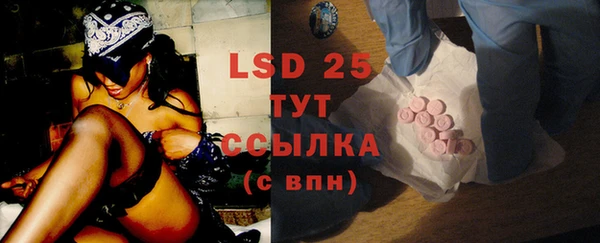 стаф Струнино